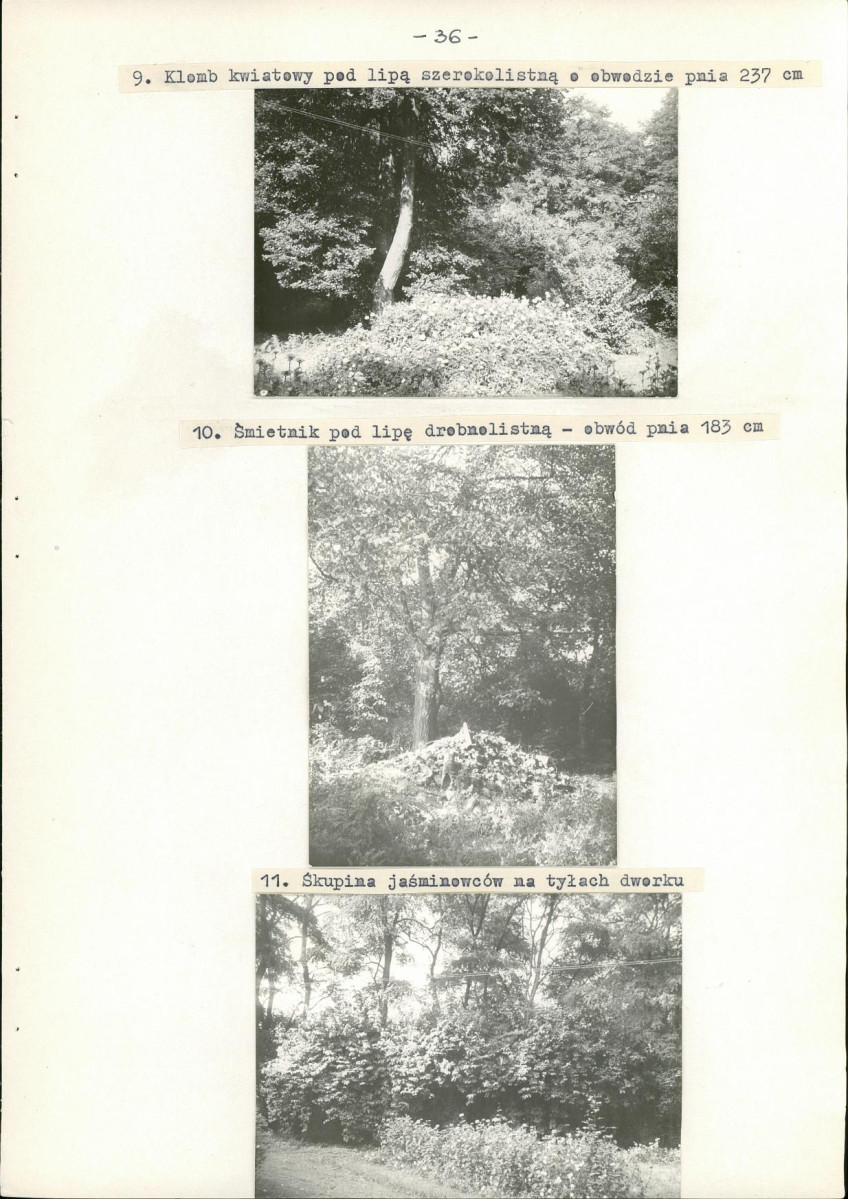 EP - Ewidencja parkowa, skan nr 49