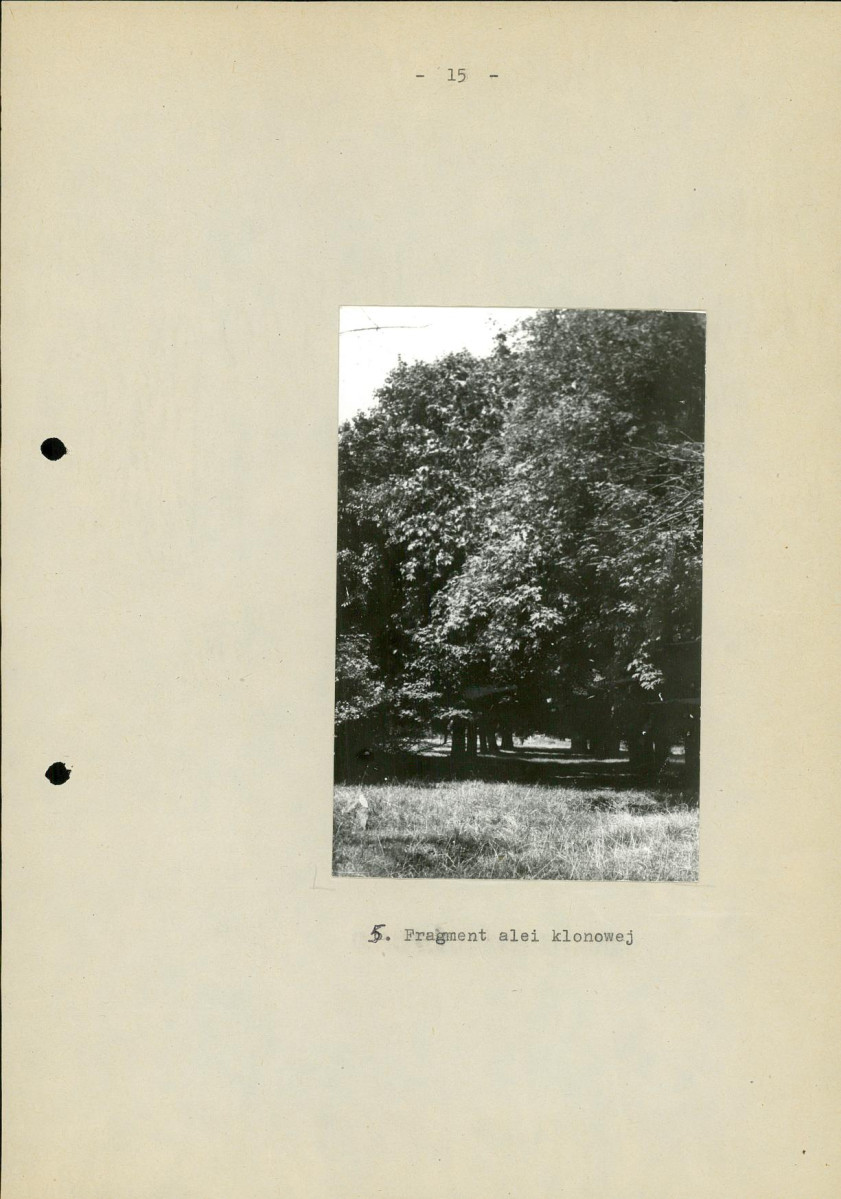 EP - Ewidencja parkowa, skan nr 22