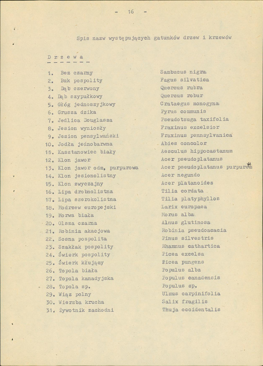 Ewidencja parkowa, skan nr 22