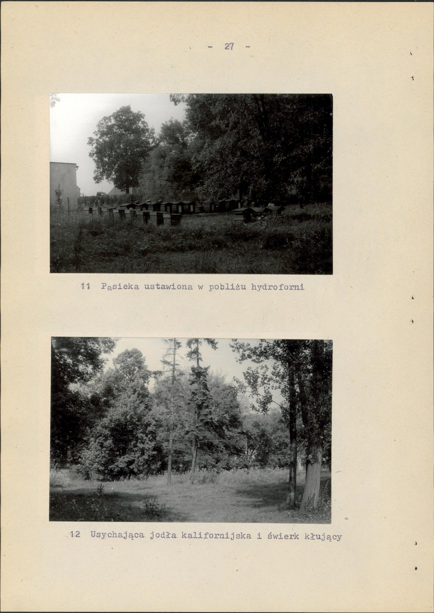 Ewidencja parkowa, skan nr 33