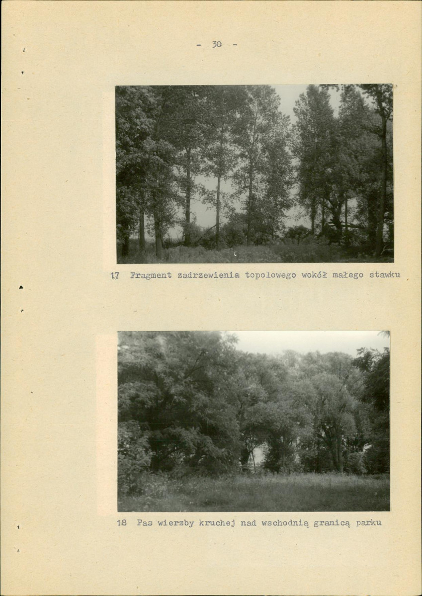 Ewidencja parkowa, skan nr 36