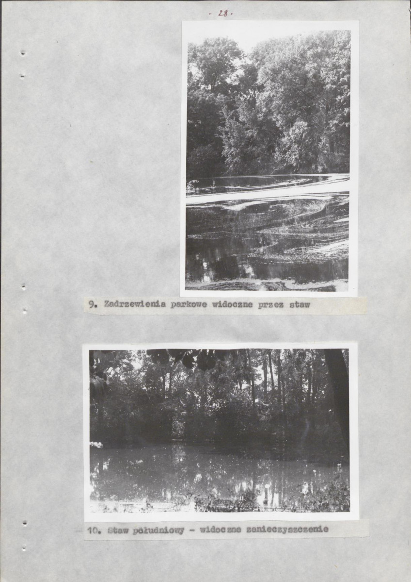 Ewidencja parkowa, skan nr 34