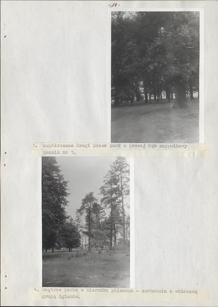 Ewidencja parkowa, skan nr 24