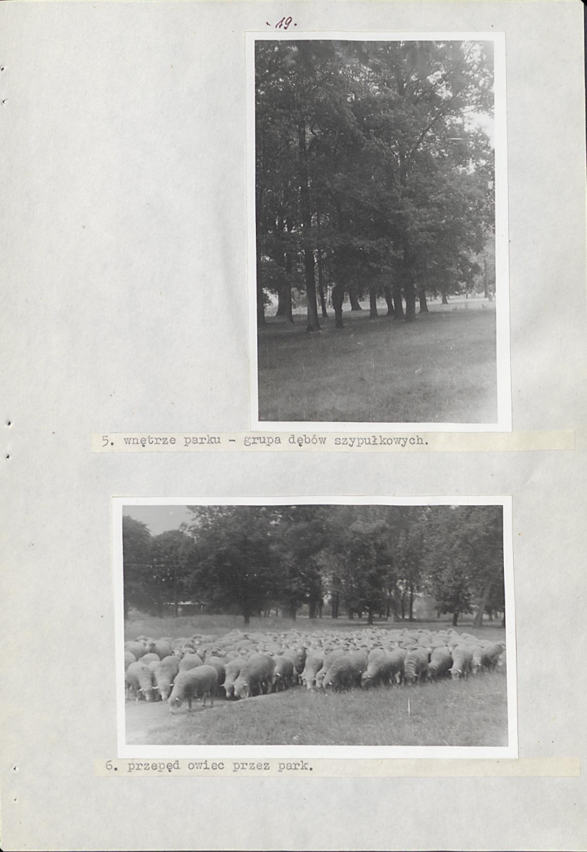Ewidencja parkowa, skan nr 25