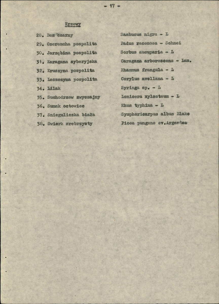 Ewidencja parkowa, skan nr 25