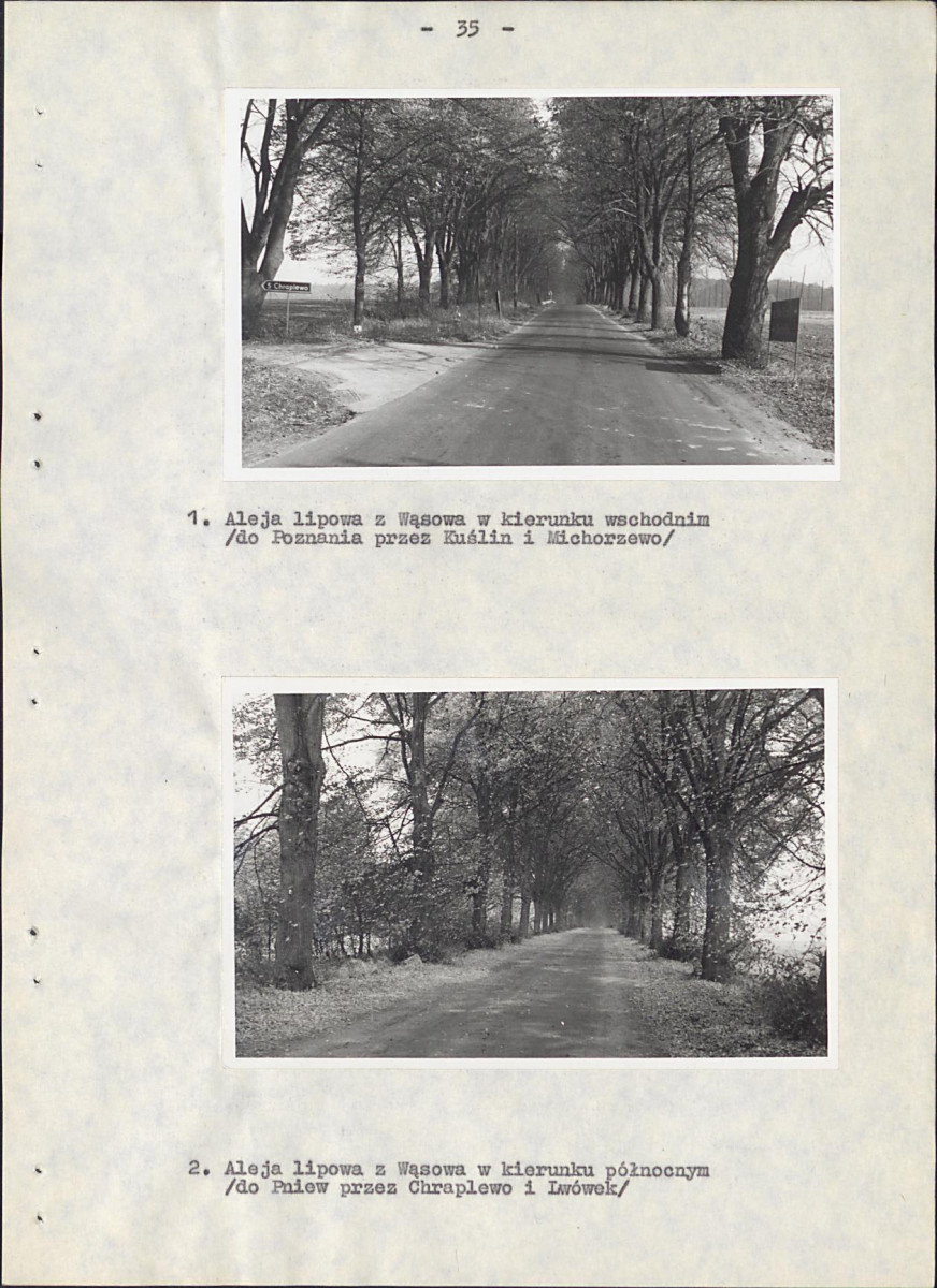 EP - Ewidencja parkowa, skan nr 42