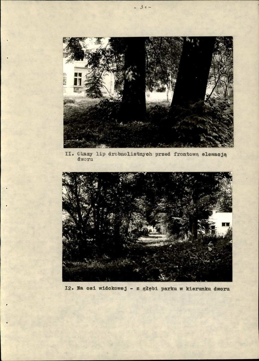 Ewidencja parkowa, skan nr 40