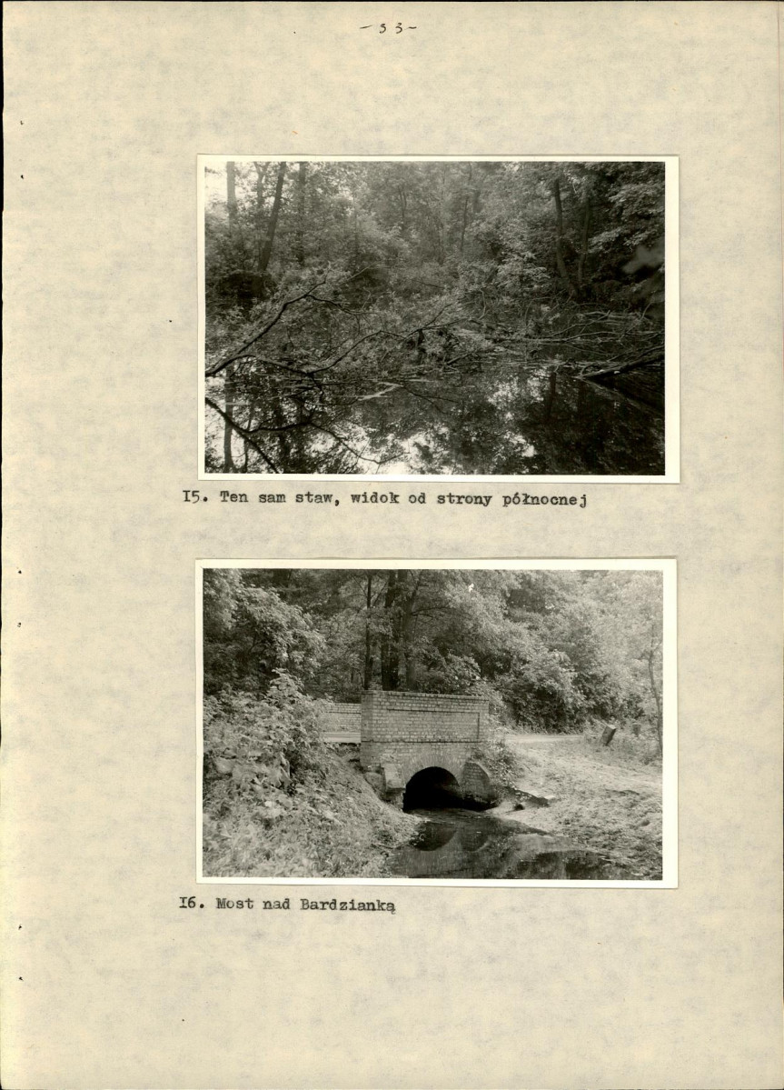 Ewidencja parkowa, skan nr 42