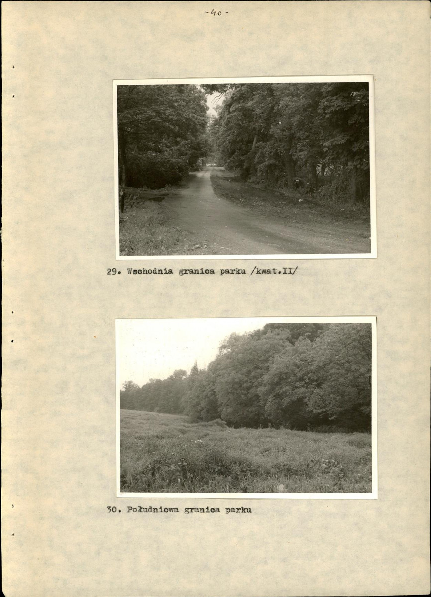 Ewidencja parkowa, skan nr 49