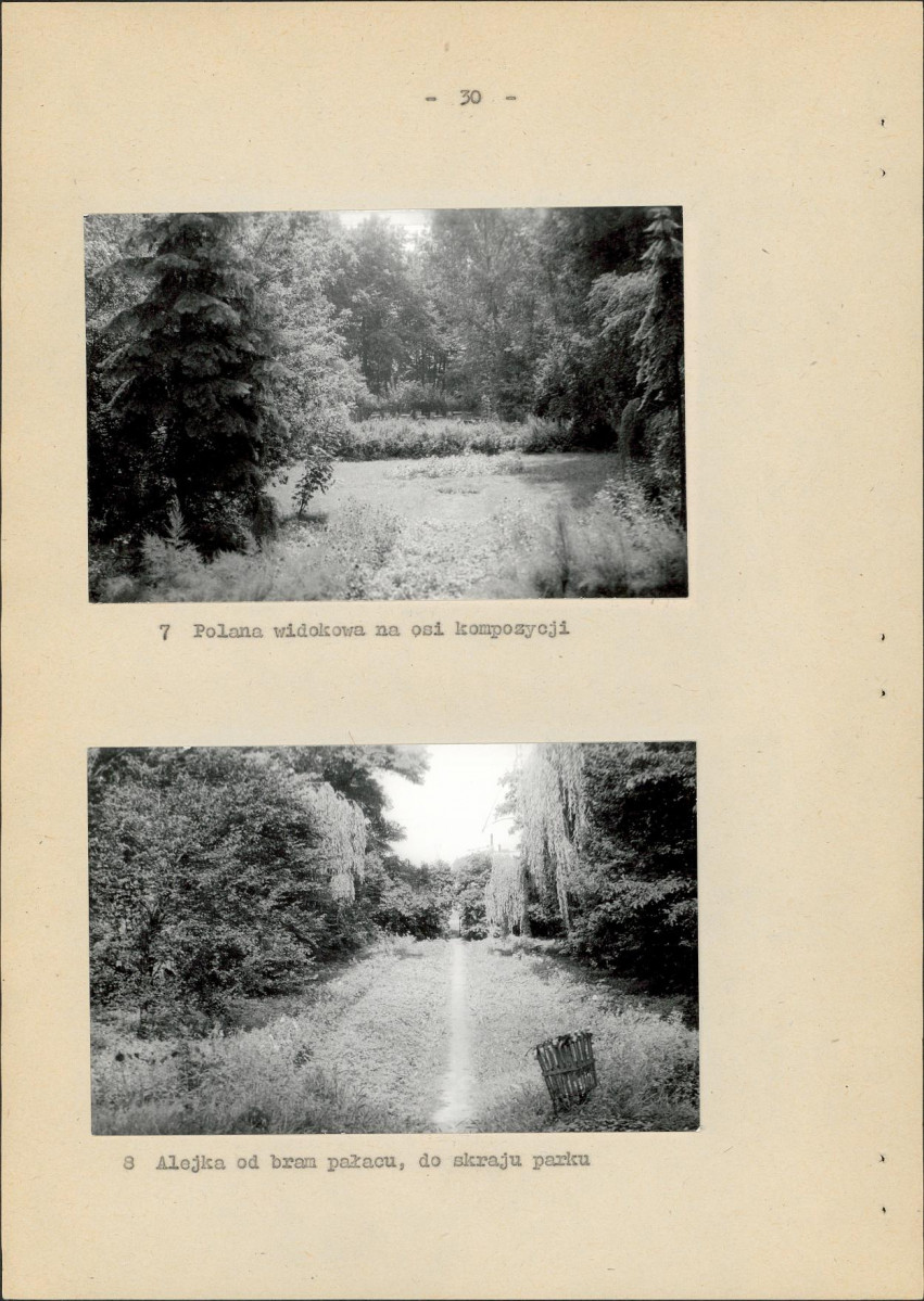 Ewidencja parkowa, skan nr 36