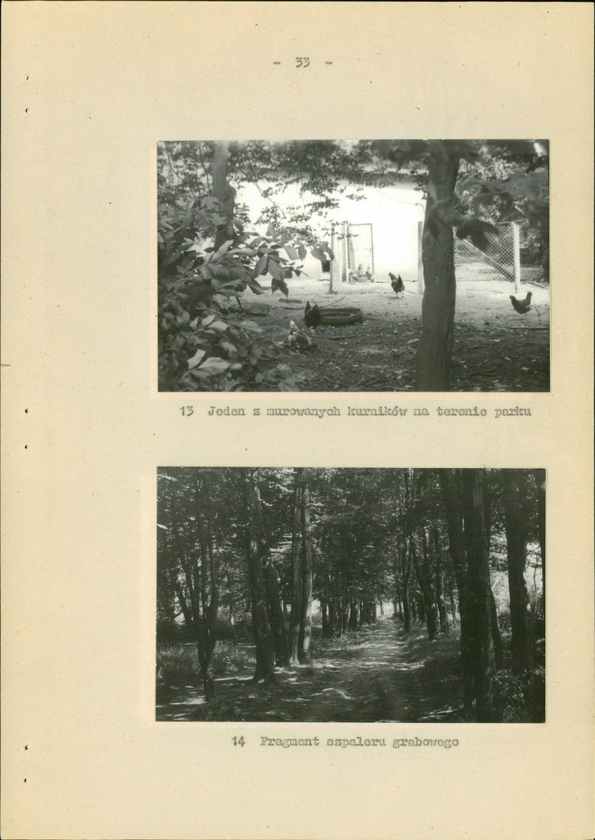 Ewidencja parkowa, skan nr 39