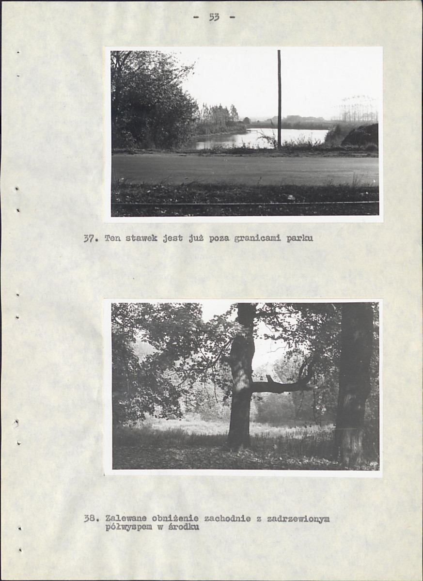 EP - Ewidencja parkowa, skan nr 60