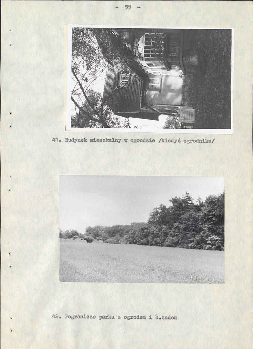 EP - Ewidencja parkowa, skan nr 62