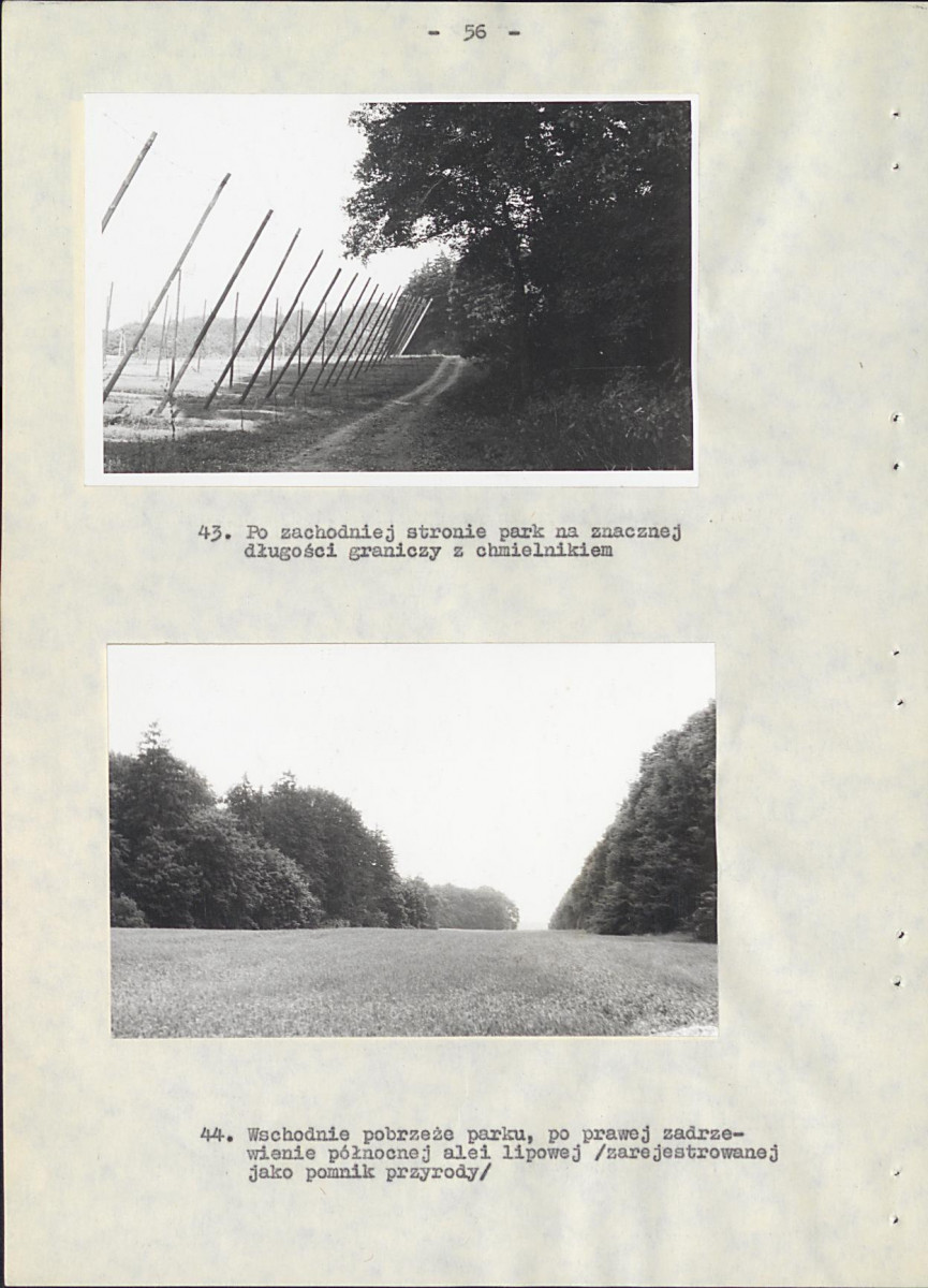 EP - Ewidencja parkowa, skan nr 63
