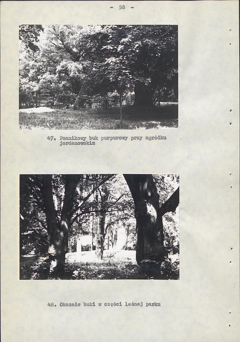 EP - Ewidencja parkowa, skan nr 65