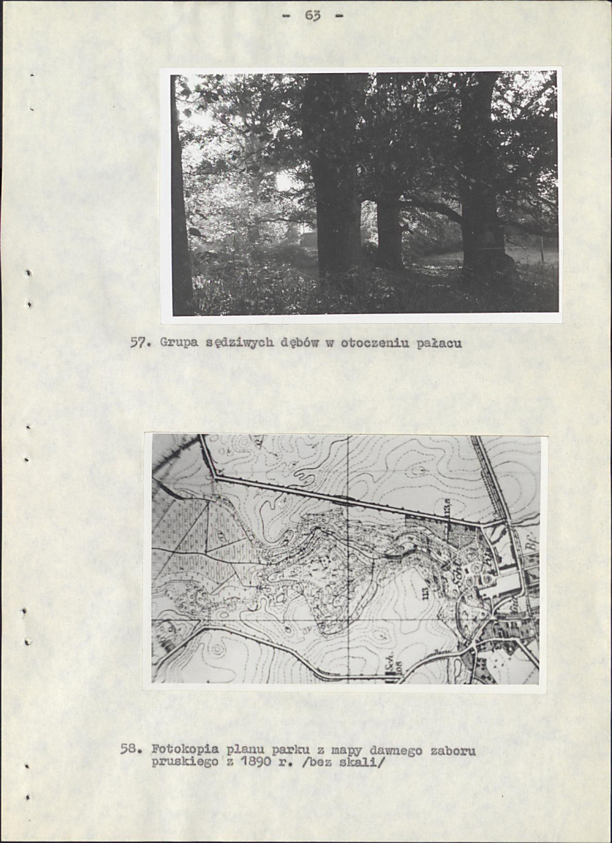 EP - Ewidencja parkowa, skan nr 70