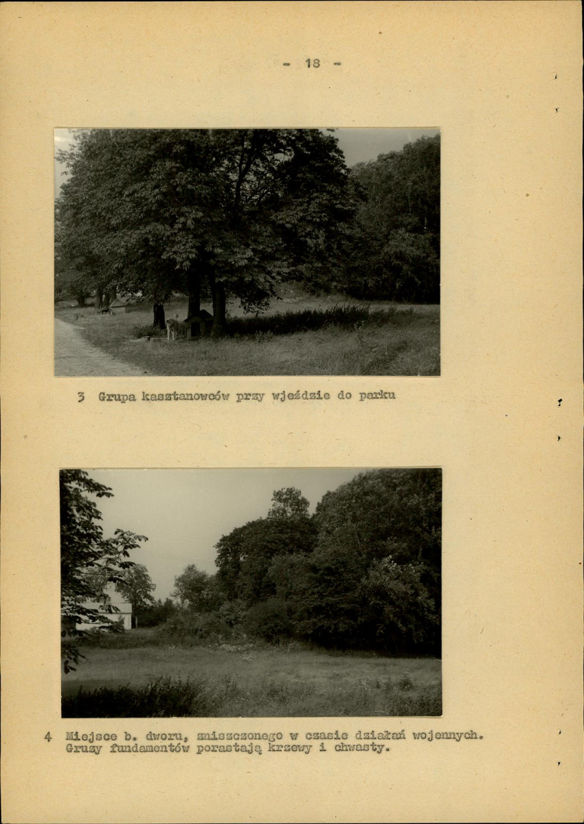 Ewidencja parkowa, skan nr 25