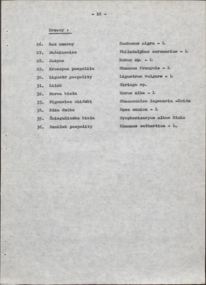 Ewidencja parkowa, skan nr 23