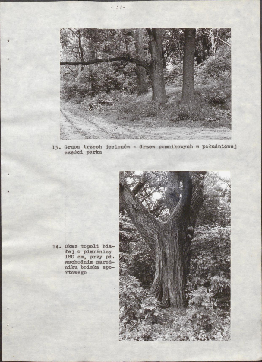Ewidencja parkowa, skan nr 38