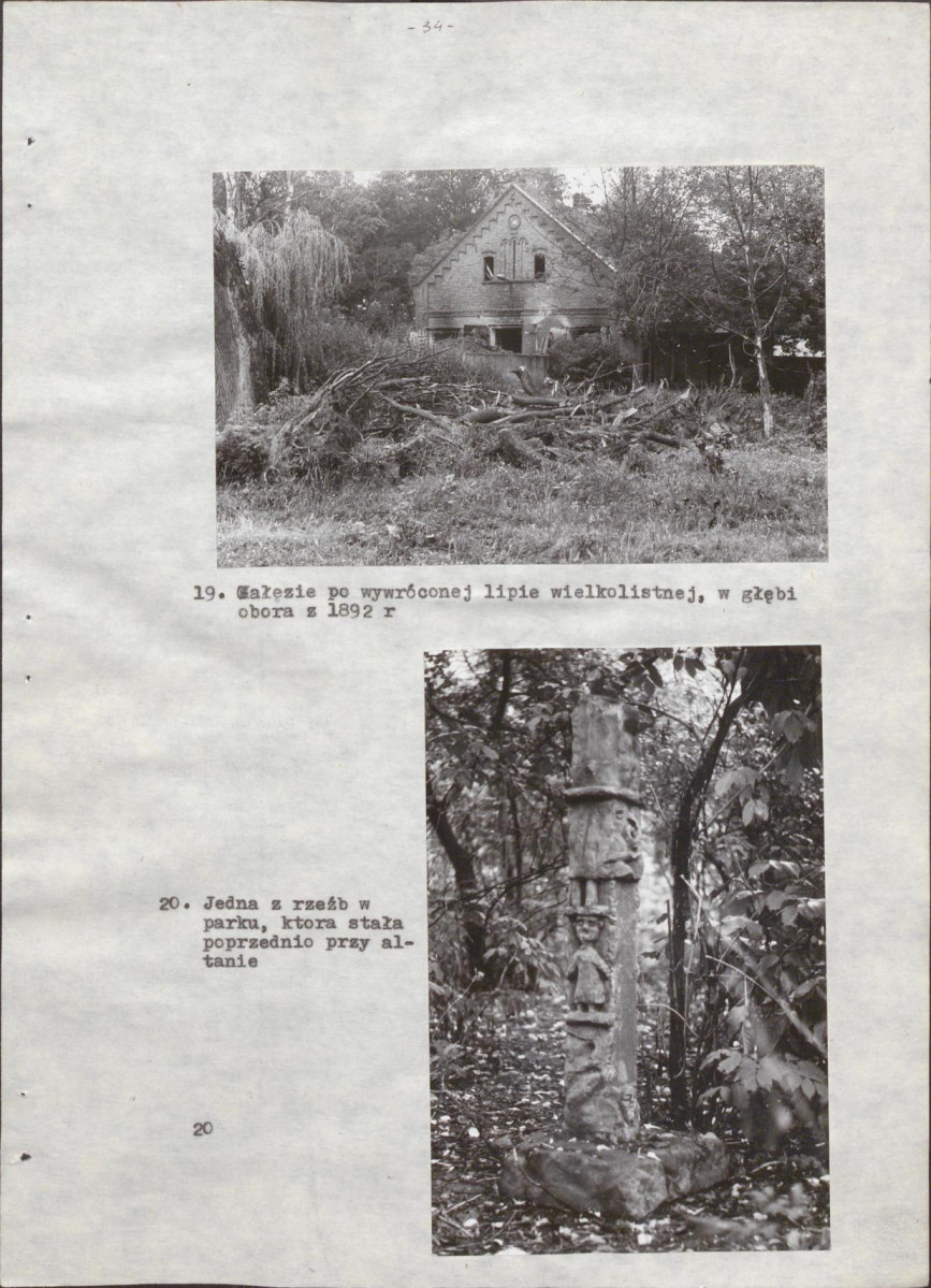 Ewidencja parkowa, skan nr 41