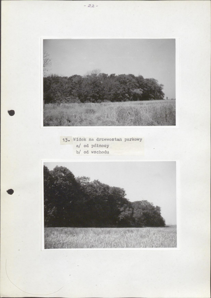 Ewidencja parkowa, skan nr 36