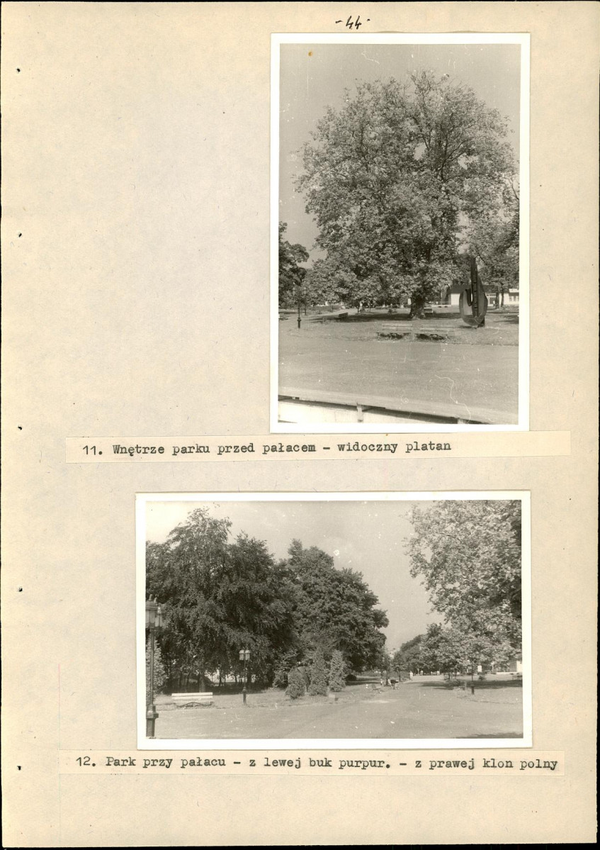 Ewidencja parkowa, skan nr 50