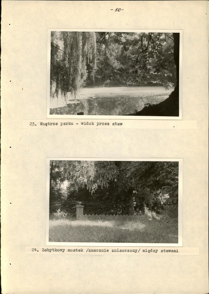 Ewidencja parkowa, skan nr 56