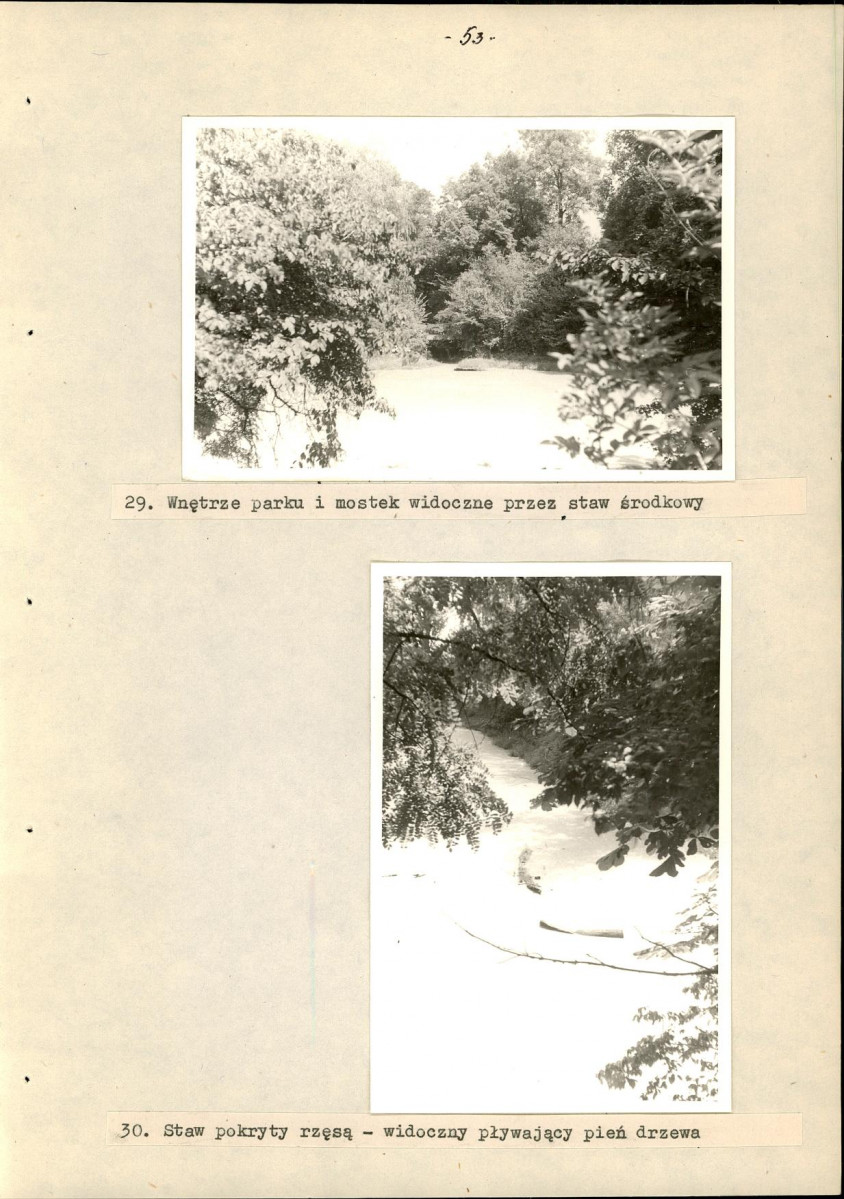 Ewidencja parkowa, skan nr 59