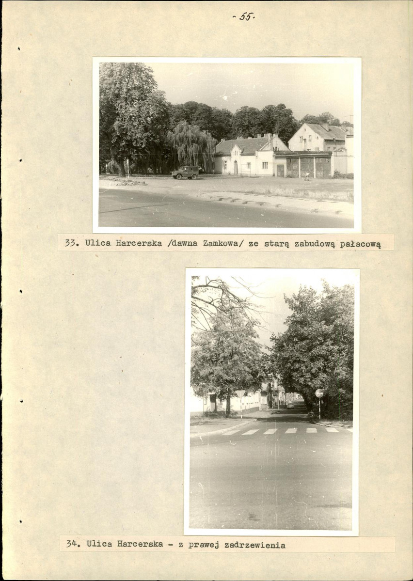 Ewidencja parkowa, skan nr 61