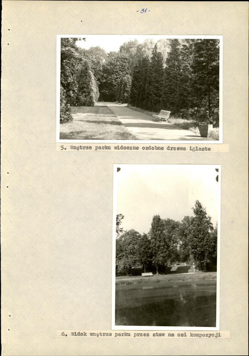 Ewidencja parkowa, skan nr 38