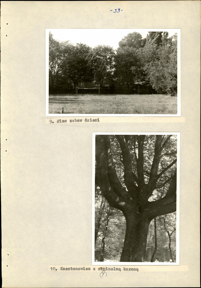 Ewidencja parkowa, skan nr 40