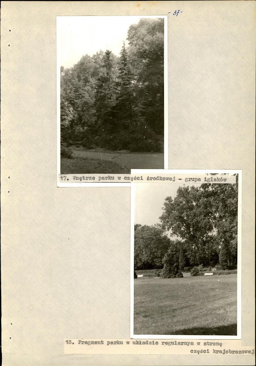 Ewidencja parkowa, skan nr 44