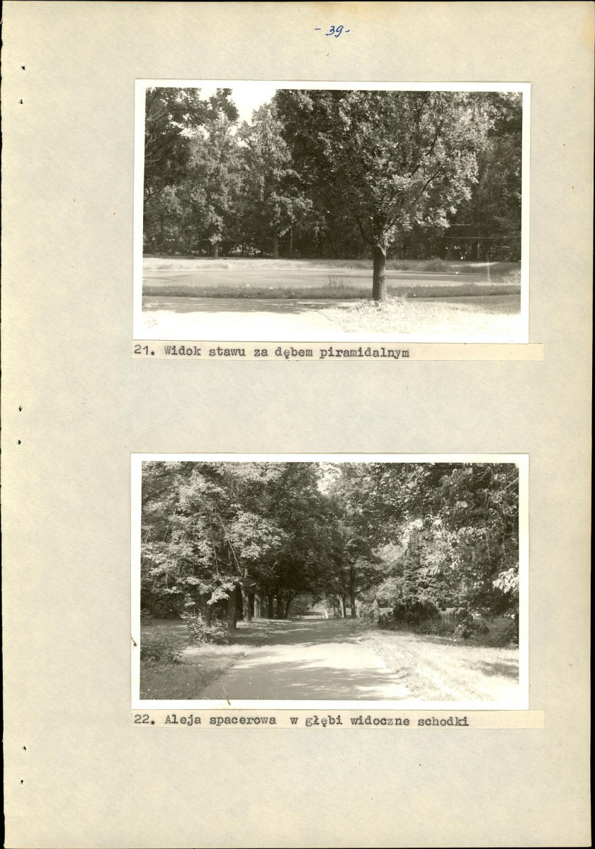 Ewidencja parkowa, skan nr 46