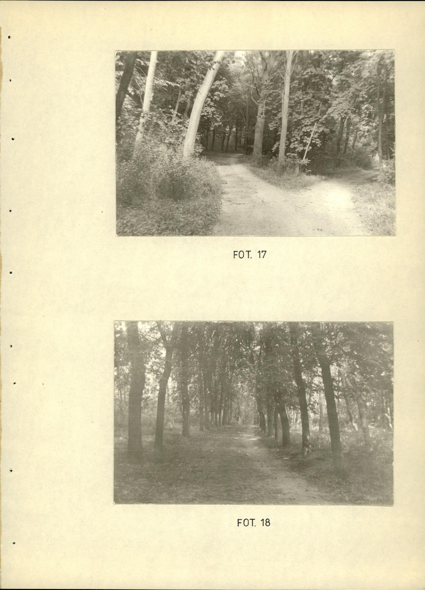 EP - Ewidencja parkowa, skan nr 64