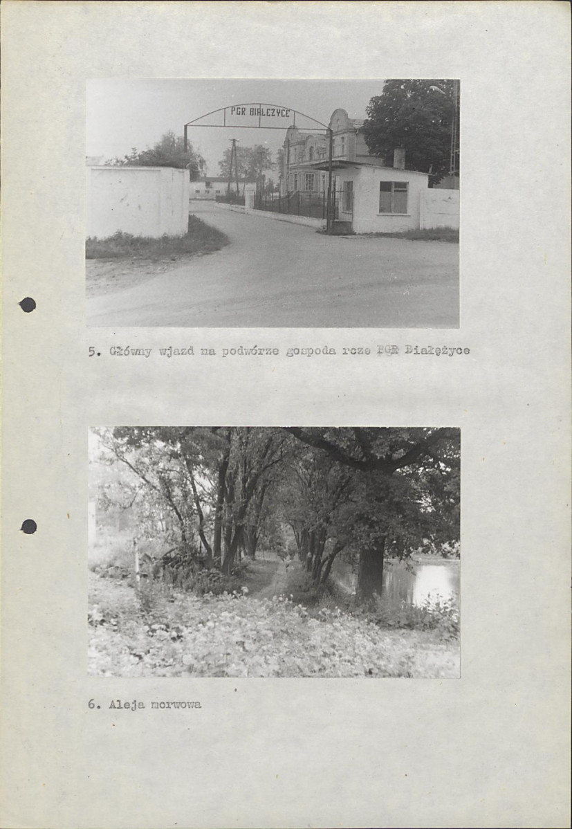 Ewidencja parkowa, skan nr 29