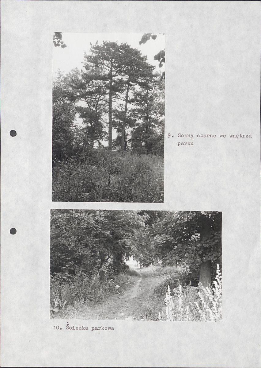 Ewidencja parkowa, skan nr 30