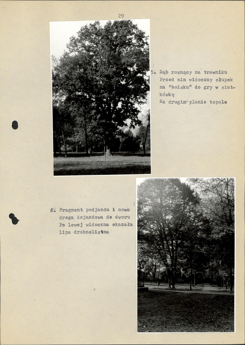 Ewidencja parkowa, skan nr 35