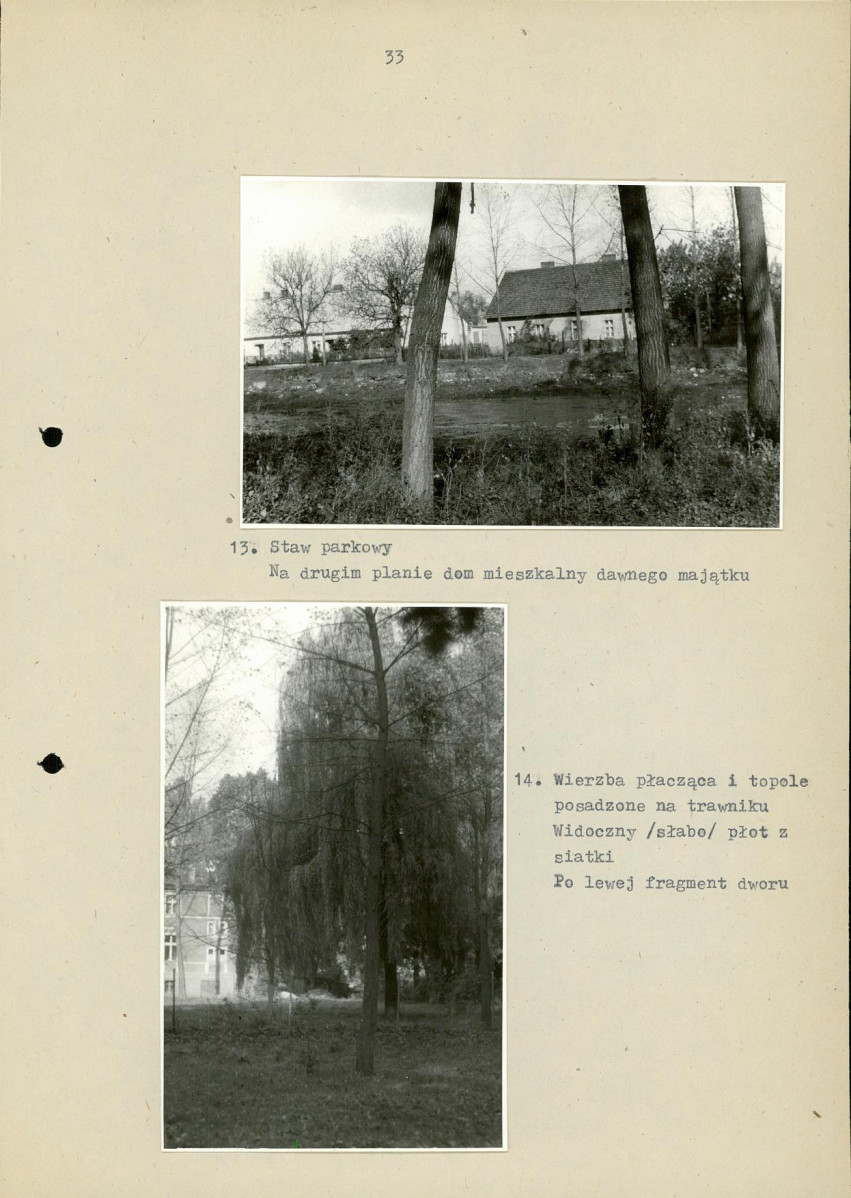 Ewidencja parkowa, skan nr 39