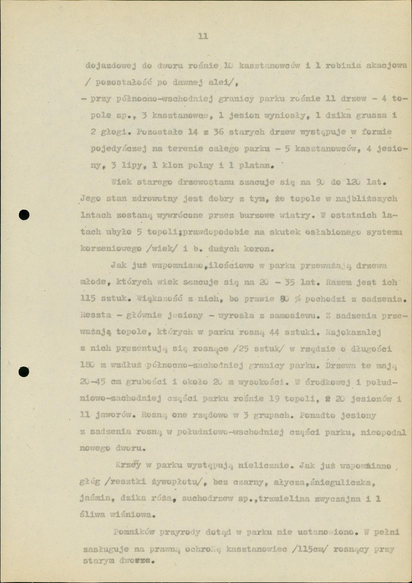Ewidencja parkowa, skan nr 17