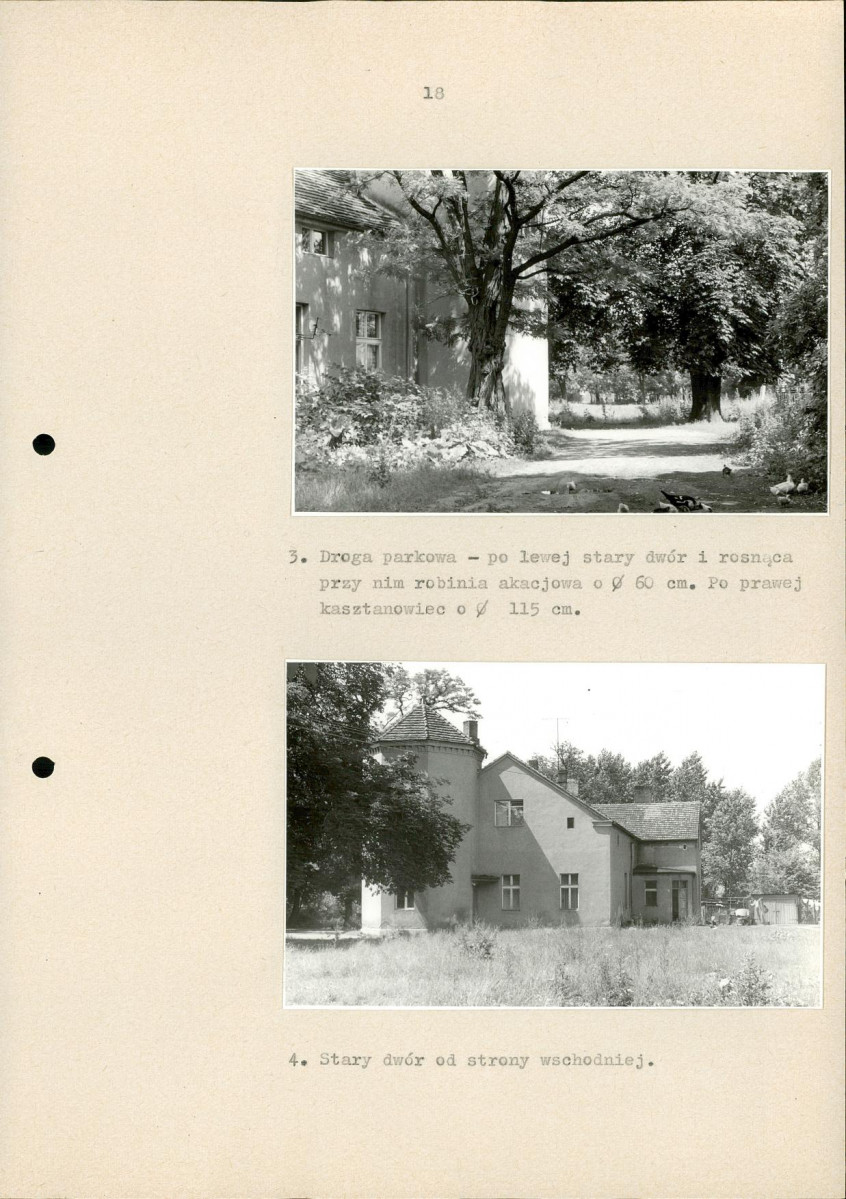 Ewidencja parkowa, skan nr 24