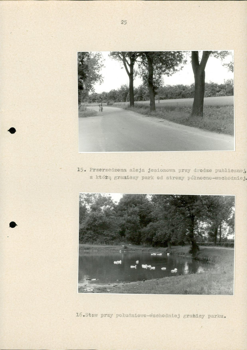 Ewidencja parkowa, skan nr 30