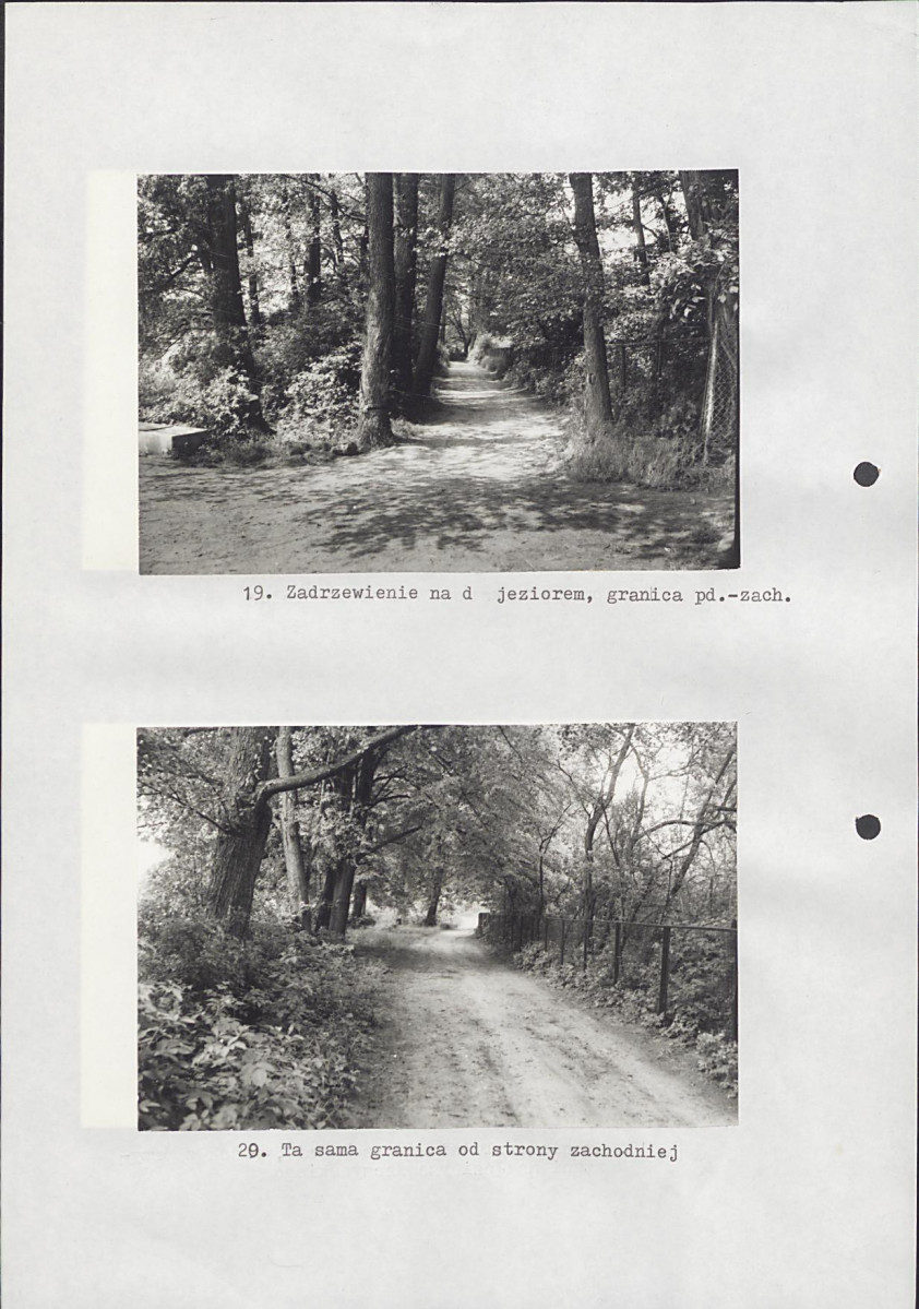 Ewidencja parkowa, skan nr 38
