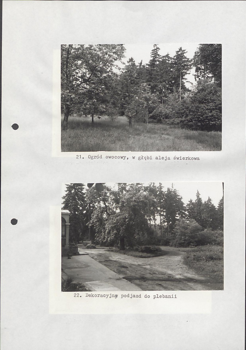 Ewidencja parkowa, skan nr 39