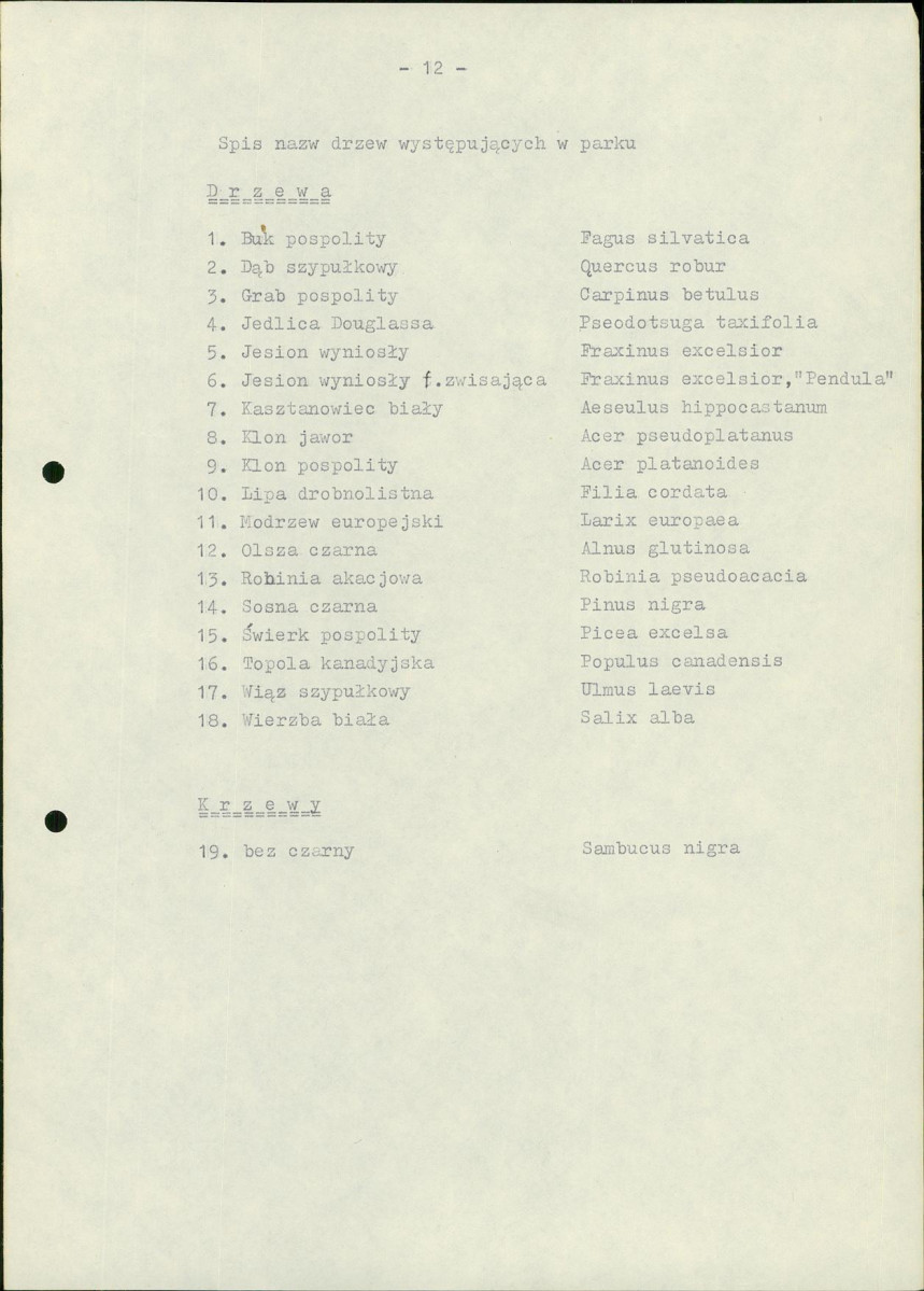 Ewidencja parkowa, skan nr 17