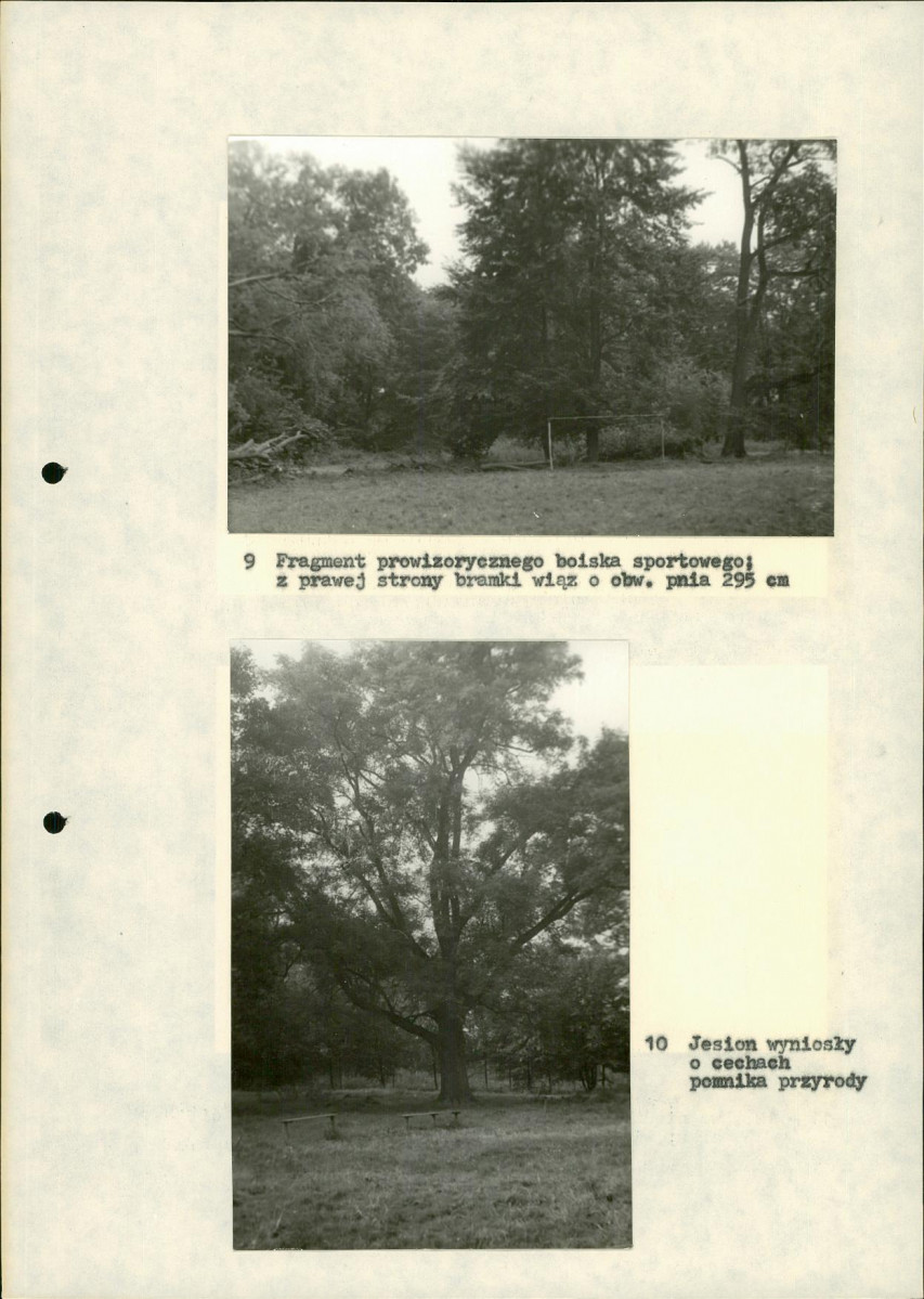 Ewidencja parkowa, skan nr 27