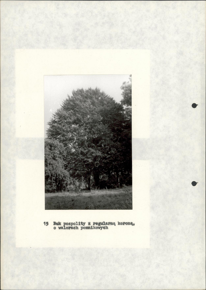 Ewidencja parkowa, skan nr 30