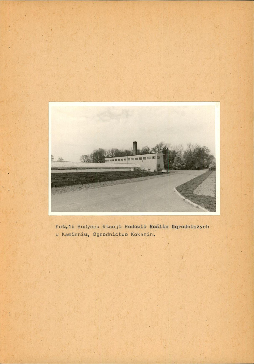 EP - Ewidencja parkowa, skan nr 30