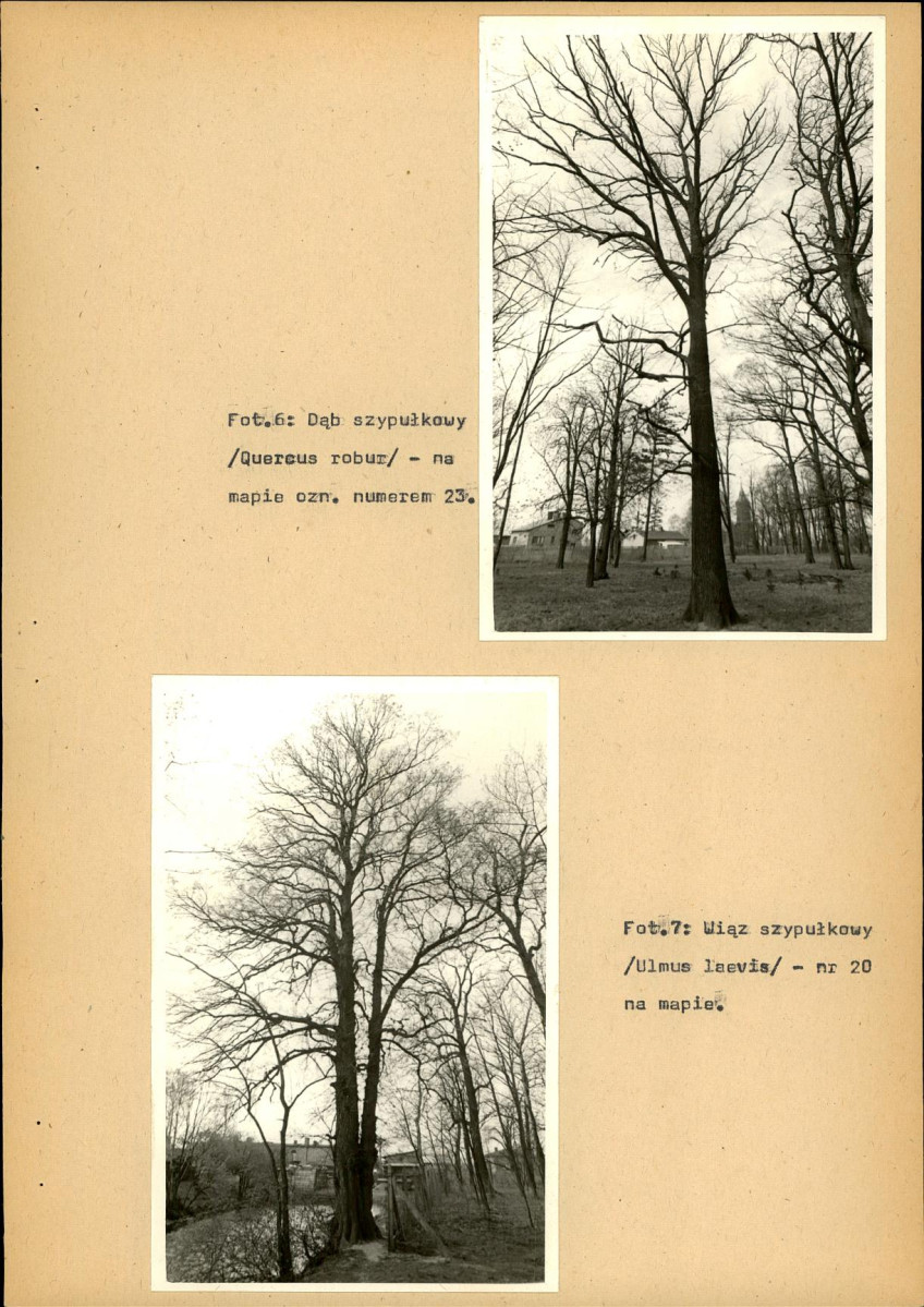 EP - Ewidencja parkowa, skan nr 33