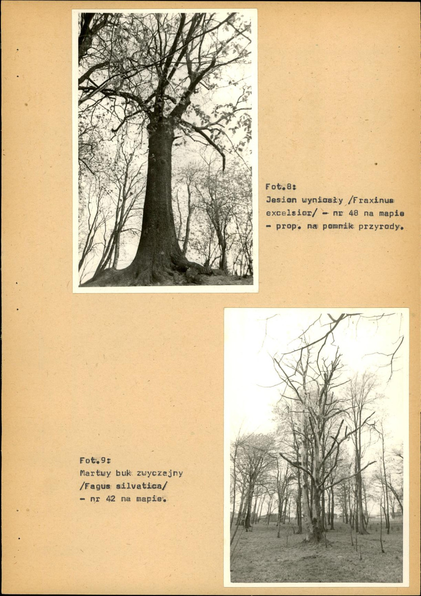 EP - Ewidencja parkowa, skan nr 34