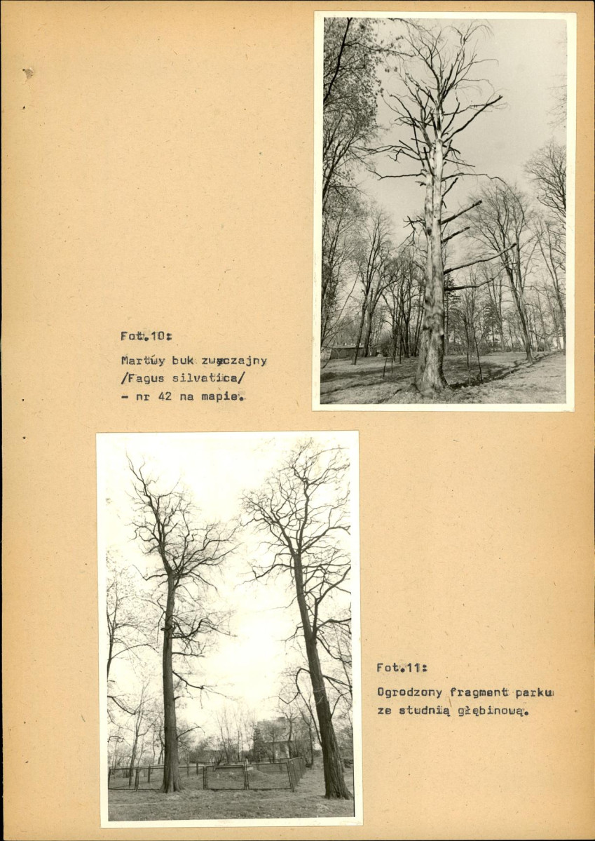 EP - Ewidencja parkowa, skan nr 35